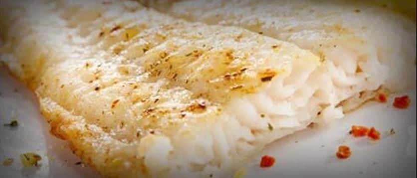 Vila dos Pescados - Receitas Imagem